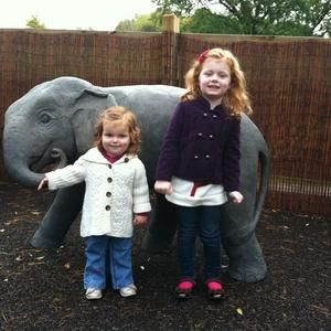 Meet your Posher, Bridgette